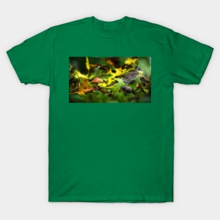 Tiny Brown Mushroom Among Fallen Leaves T-Shirt